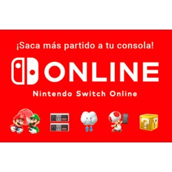 NINTENDO SWITCH 12 meses...